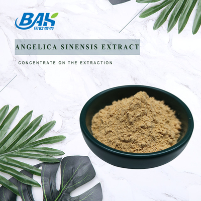 Κινέζικο Επαγγελματικό Εργοστάσιο Dang Gui Angelica Sinensis Dong Quai Root Extract Powder Angelica Dahurica Extract