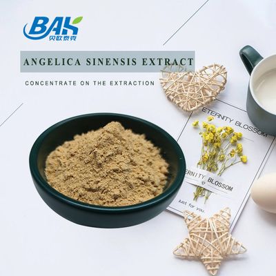 Κινέζικο Επαγγελματικό Εργοστάσιο Dang Gui Angelica Sinensis Dong Quai Root Extract Powder Angelica Dahurica Extract