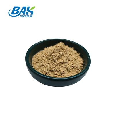 Κινέζικο Επαγγελματικό Εργοστάσιο Dang Gui Angelica Sinensis Dong Quai Root Extract Powder Angelica Dahurica Extract