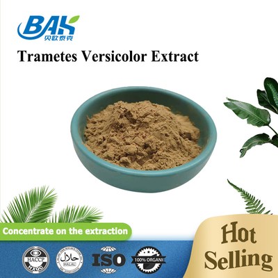 10% - 50% Trametes Versicolor εκχύλισμα σκόνη Μανιτάρια εκχύλισμα συμπλήρωμα