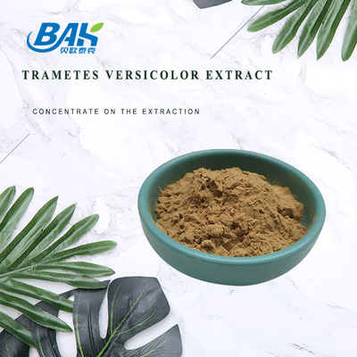 10% - 50% Trametes Versicolor εκχύλισμα σκόνη Μανιτάρια εκχύλισμα συμπλήρωμα