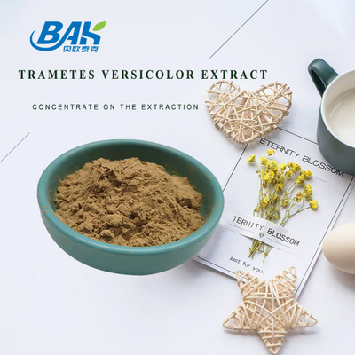 10% - 50% Trametes Versicolor εκχύλισμα σκόνη Μανιτάρια εκχύλισμα συμπλήρωμα