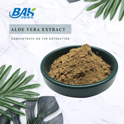 BAK Υψηλής ποιότητας Pass 80 Mesh Artemisia Argyi Leaf Extract Σκοτεινό καφέ σκόνη Anti Cruor