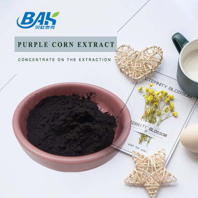 BAK Factory Wholesale Ανθοκυανίνη 35% Zea Mays Purple Corn Extract Dark Purple Powder
