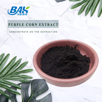 BAK Factory Wholesale Ανθοκυανίνη 35% Zea Mays Purple Corn Extract Dark Purple Powder
