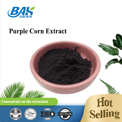 BAK Factory Wholesale Ανθοκυανίνη 35% Zea Mays Purple Corn Extract Dark Purple Powder