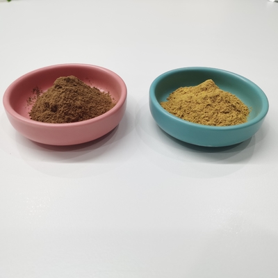 Flavone 24% κίτρινη καφετιά σκόνη εκχυλισμάτων λακτονών 6% Ginkgo Biloba