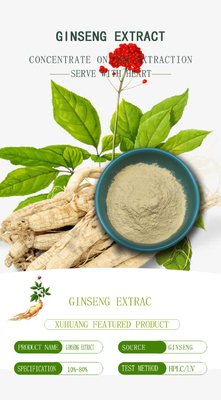 Σκόνη 22427-39-0 αποσπασμάτων Ginseng συμπληρωμάτων υγείας των ατόμων 98% Ginsenosides