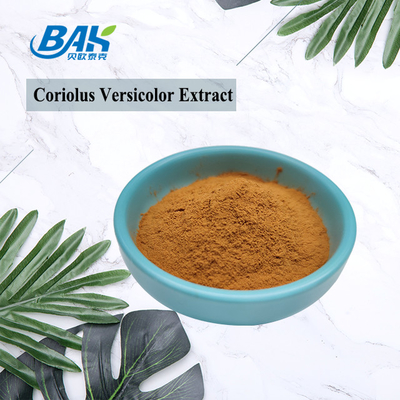 Οργανικό εκχύλισμα μανιταριών Coriolus Versicolor Συμπλήρωμα Καφέ κίτρινη σκόνη