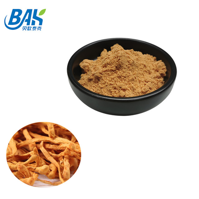 80 έως 120 Mesh Cordyceps Militaris Extract Powder Factory Προμήθεια