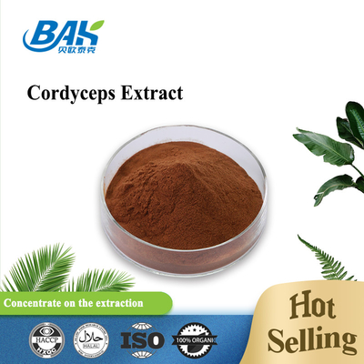 Καφετιά σκόνη αποσπασμάτων Cordyceps συμπληρωμάτων υγείας των ατόμων Cordycepin 5% 10% 20%