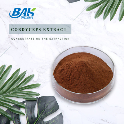 Καφετιά σκόνη αποσπασμάτων Cordyceps συμπληρωμάτων υγείας των ατόμων Cordycepin 5% 10% 20%