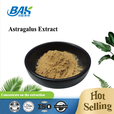 Astragalus πολυσακχαριτών 40% η σκόνη 100% αποσπασμάτων περνά το πλέγμα 80