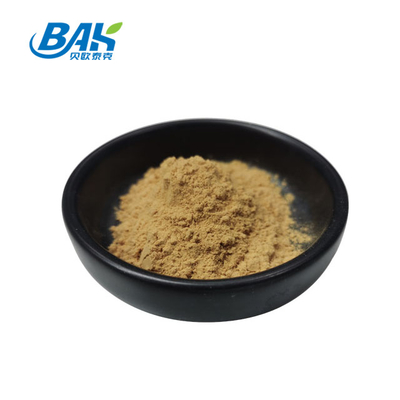Astragalus πολυσακχαριτών 40% η σκόνη 100% αποσπασμάτων περνά το πλέγμα 80