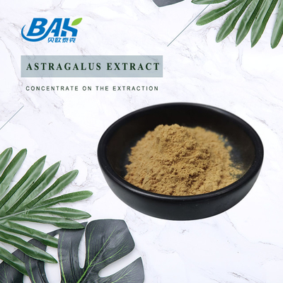 Astragalus πολυσακχαριτών 40% η σκόνη 100% αποσπασμάτων περνά το πλέγμα 80