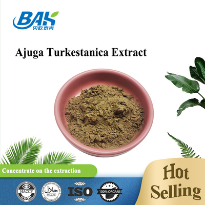 Απόσπασμα 2%-20% Turkestanica Ajuga