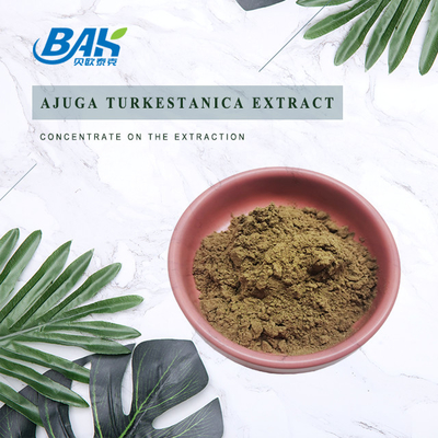 Απόσπασμα 2%-20% Turkestanica Ajuga