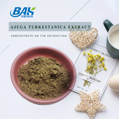 Απόσπασμα 2%-20% Turkestanica Ajuga