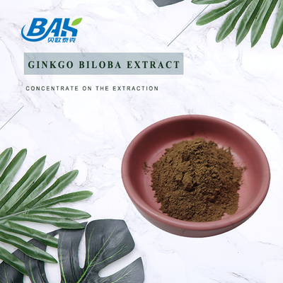 CAS 90045-36-6 Εκχύλισμα Ginkgo Biloba Φλαβονογλυκοσίδες 24% Τερπένια Λακτόρια 6%