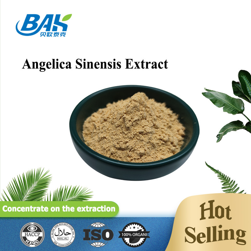 Κινέζικο Επαγγελματικό Εργοστάσιο Dang Gui Angelica Sinensis Dong Quai Root Extract Powder Angelica Dahurica Extract