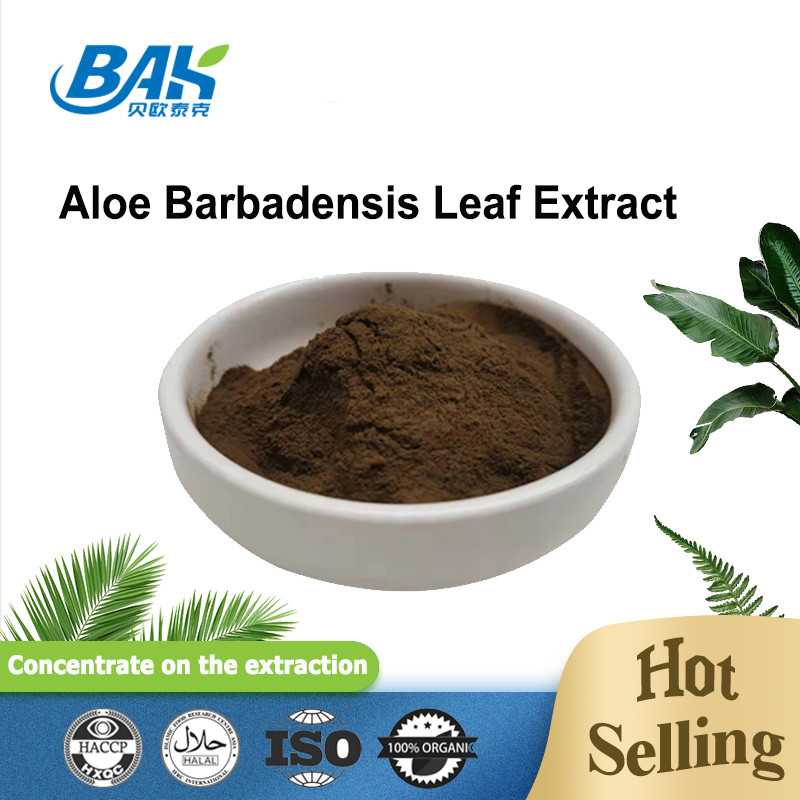 καφετιά λεπτή σκόνη 100/1 200/1 Aloe Barbadensis αποσπασμάτων CAS 85507-69-3 φύλλων
