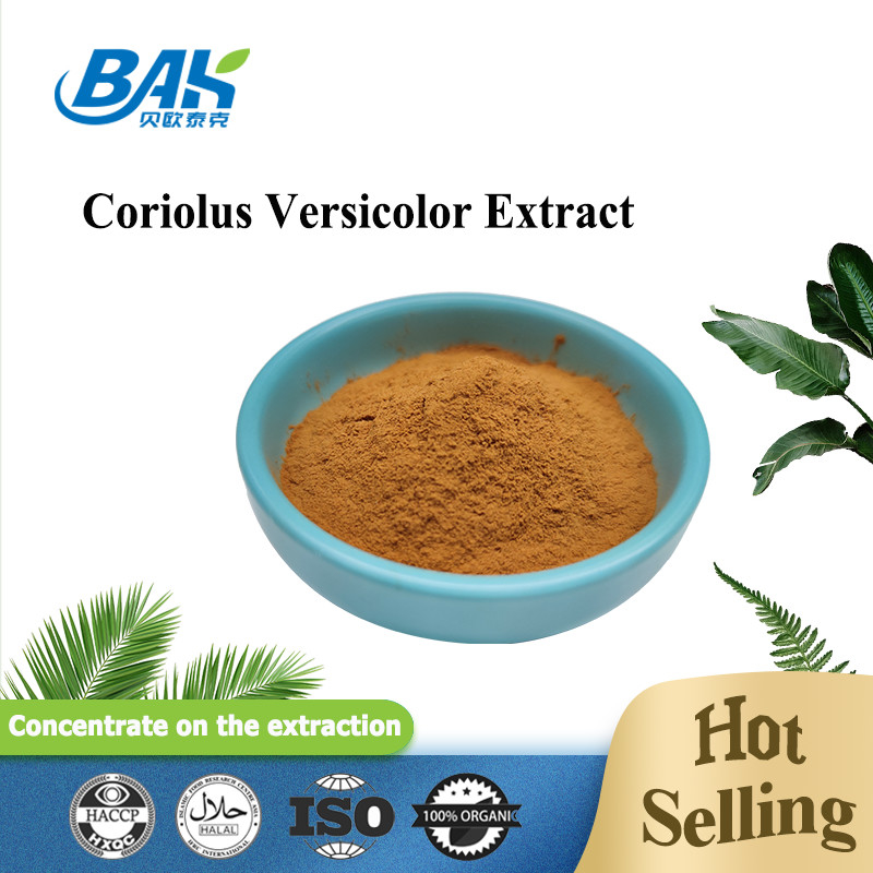 Οργανικό εκχύλισμα μανιταριών Coriolus Versicolor Συμπλήρωμα Καφέ κίτρινη σκόνη